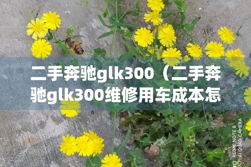 二手奔驰glk300（二手奔驰glk300维修用车成本怎么样）