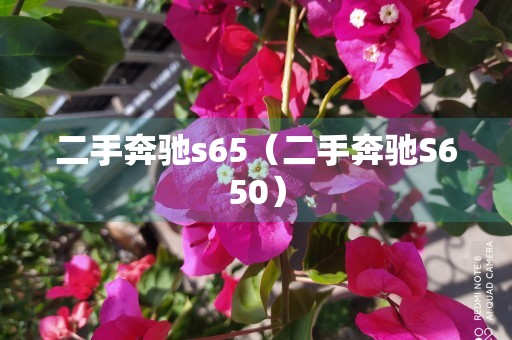 二手奔驰s65（二手奔驰S650）