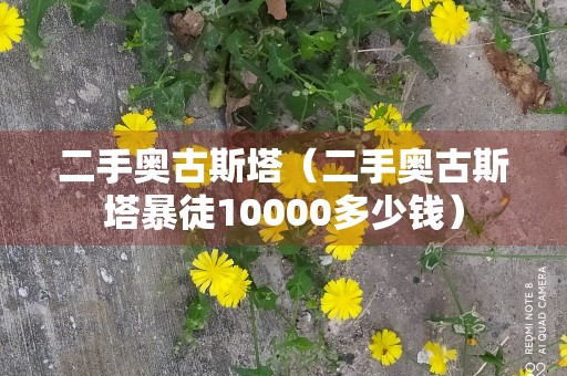 二手奥古斯塔（二手奥古斯塔暴徒10000多少钱）