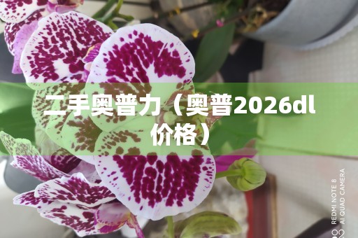 二手奥普力（奥普2026dl价格）