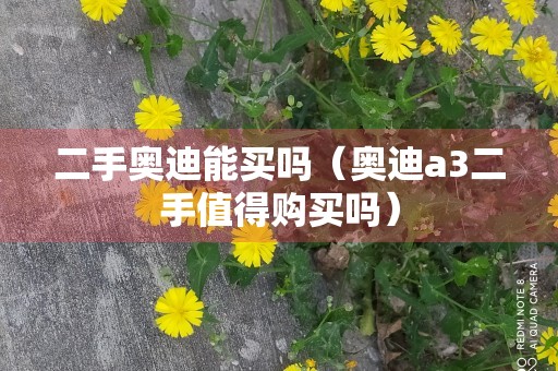 二手奥迪能买吗（奥迪a3二手值得购买吗）