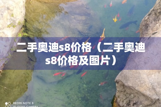 二手奥迪s8价格（二手奥迪s8价格及图片）