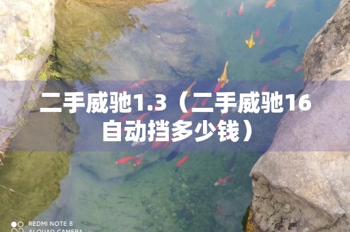 二手威驰1.3（二手威驰16自动挡多少钱）