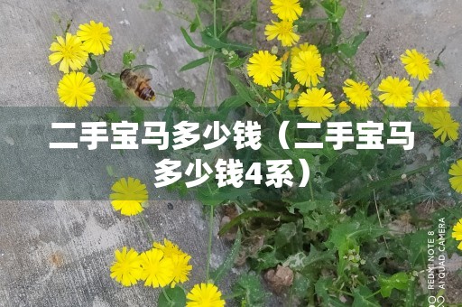 二手宝马多少钱（二手宝马多少钱4系）