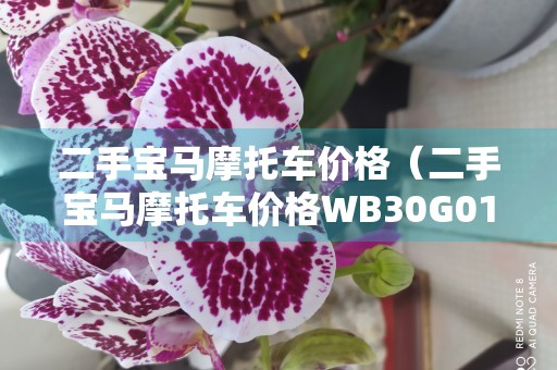 二手宝马摩托车价格（二手宝马摩托车价格WB30G010）