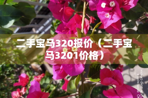 二手宝马320报价（二手宝马3201价格）