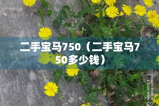 二手宝马750（二手宝马750多少钱）