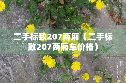 二手标致207两厢（二手标致207两厢车价格）