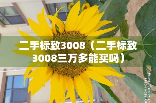 二手标致3008（二手标致3008三万多能买吗）