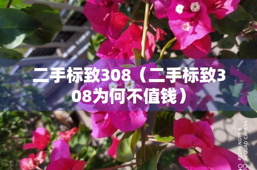 二手标致308（二手标致308为何不值钱）