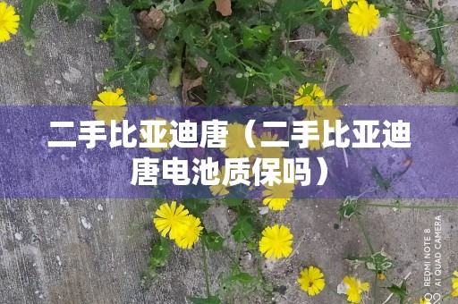 二手比亚迪唐（二手比亚迪唐电池质保吗）