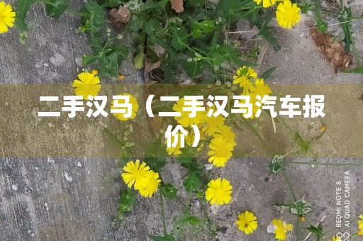 二手汉马（二手汉马汽车报价）