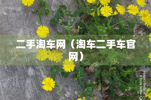 二手淘车网（淘车二手车官网）