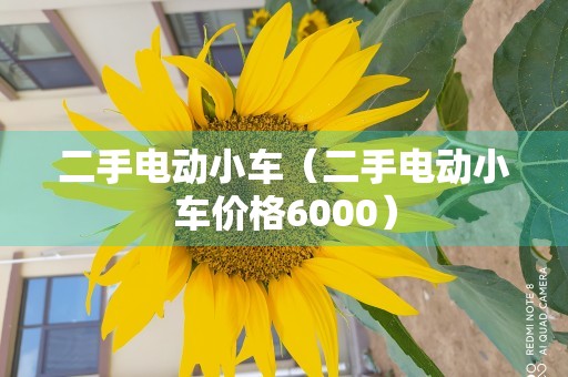 二手电动小车（二手电动小车价格6000）