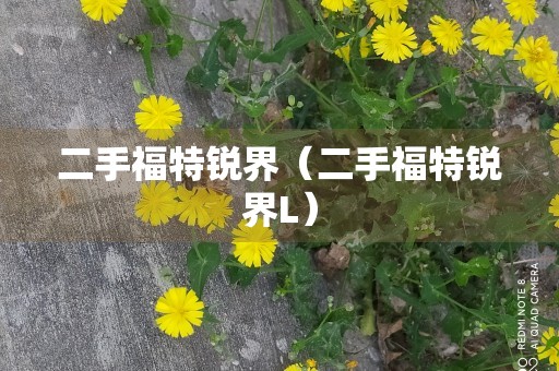 二手福特锐界（二手福特锐界L）