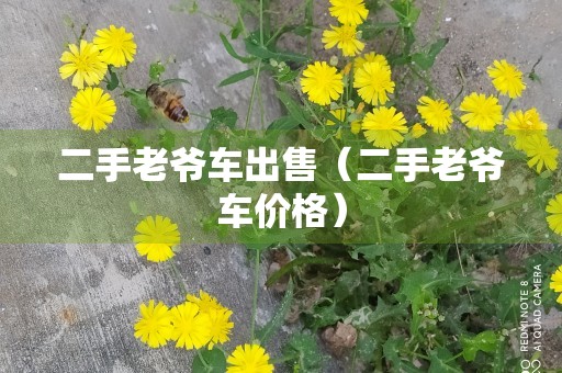 二手老爷车出售（二手老爷车价格）