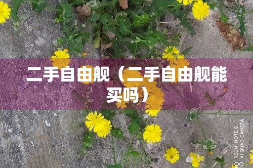 二手自由舰（二手自由舰能买吗）