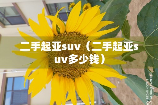 二手起亚suv（二手起亚suv多少钱）