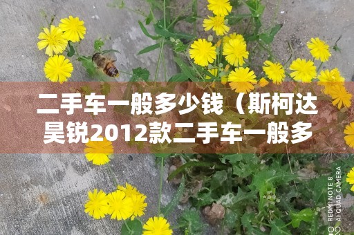 二手车一般多少钱（斯柯达昊锐2012款二手车一般多少钱）