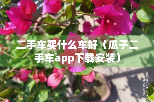 二手车买什么车好（瓜子二手车app下载安装）