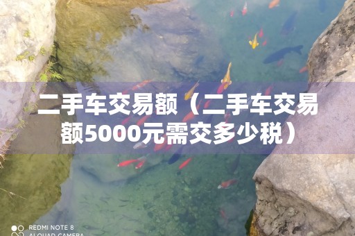 二手车交易额（二手车交易额5000元需交多少税）