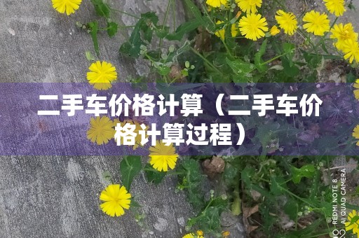 二手车价格计算（二手车价格计算过程）