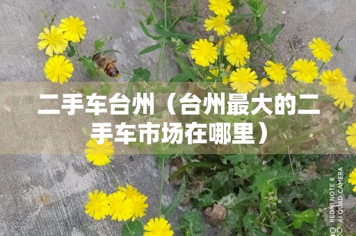 二手车台州（台州最大的二手车市场在哪里）