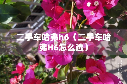 二手车哈弗h6（二手车哈弗H6怎么选）