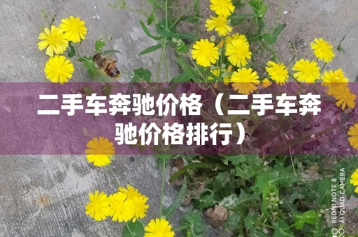 二手车奔驰价格（二手车奔驰价格排行）