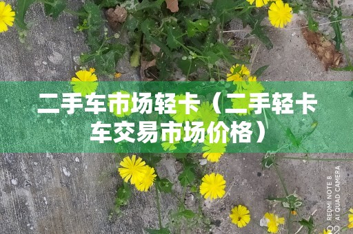 二手车市场轻卡（二手轻卡车交易市场价格）