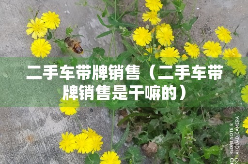 二手车带牌销售（二手车带牌销售是干嘛的）