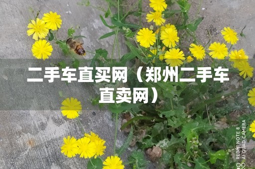 二手车直买网（郑州二手车直卖网）