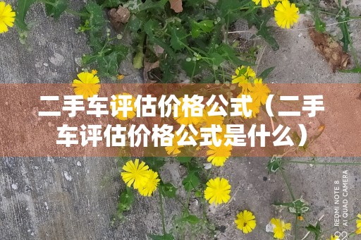 二手车评估价格公式（二手车评估价格公式是什么）