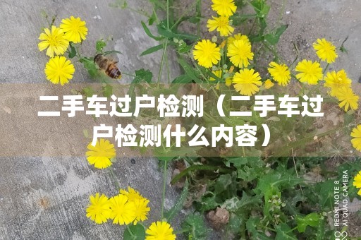 二手车过户检测（二手车过户检测什么内容）