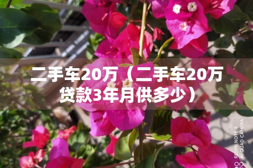 二手车20万（二手车20万贷款3年月供多少）