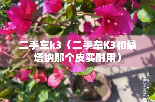 二手车k3（二手车K3和桑塔纳那个皮实耐用）