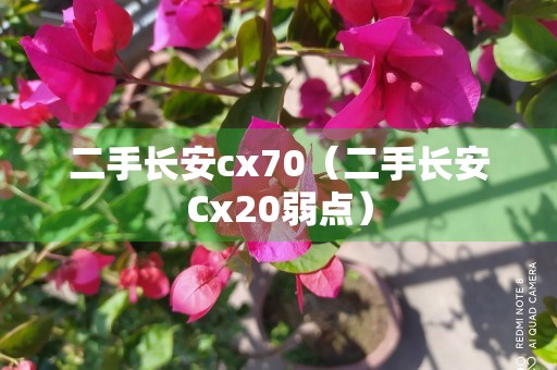 二手长安cx70（二手长安Cx20弱点）