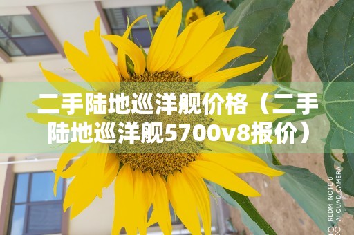 二手陆地巡洋舰价格（二手陆地巡洋舰5700v8报价）