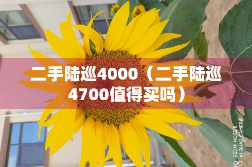 二手陆巡4000（二手陆巡4700值得买吗）