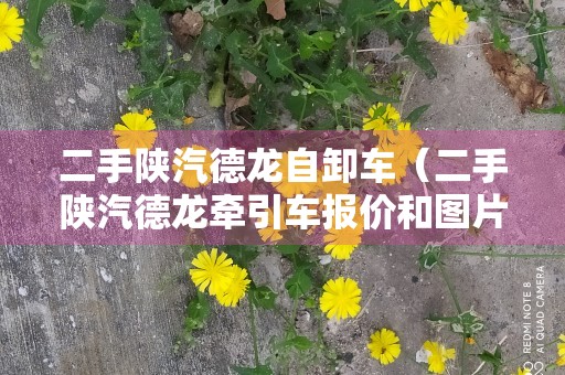 二手陕汽德龙自卸车（二手陕汽德龙牵引车报价和图片）