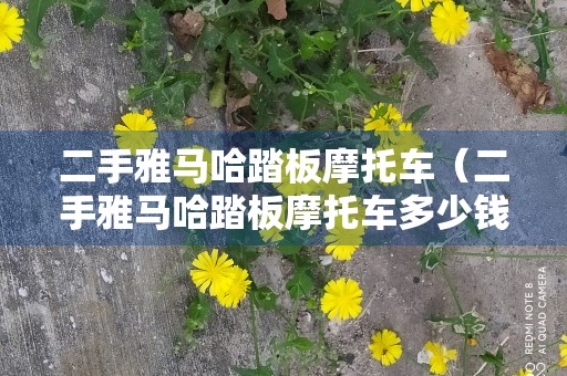 二手雅马哈踏板摩托车（二手雅马哈踏板摩托车多少钱怀远县）