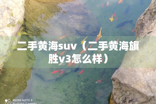 二手黄海suv（二手黄海旗胜v3怎么样）