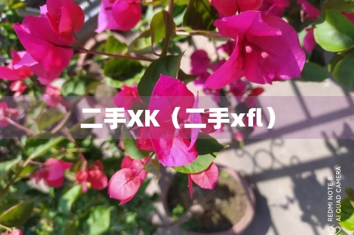 二手XK（二手xfl）