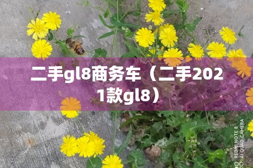 二手gl8商务车（二手2021款gl8）