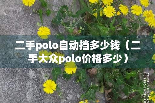 二手polo自动挡多少钱（二手大众polo价格多少）