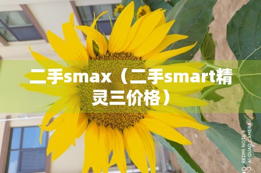 二手smax（二手smart精灵三价格）