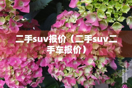 二手suv报价（二手suv二手车报价）