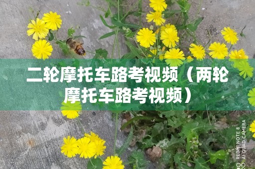 二轮摩托车路考视频（两轮摩托车路考视频）