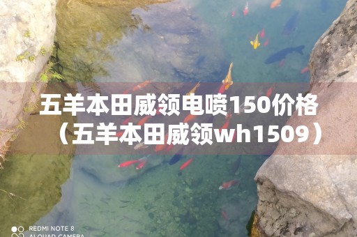 五羊本田威领电喷150价格（五羊本田威领wh1509）