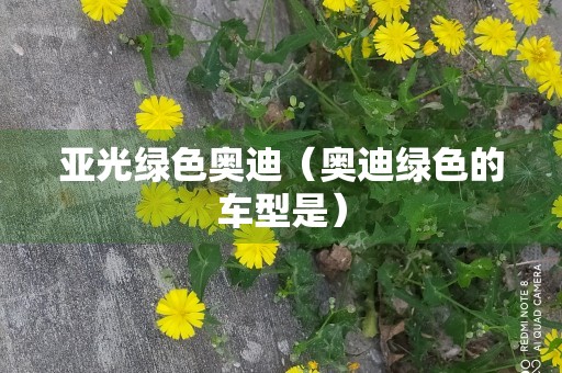 亚光绿色奥迪（奥迪绿色的车型是）